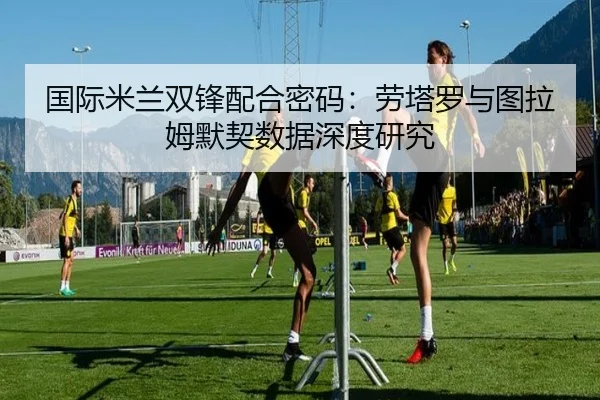 国际米兰双锋配合密码：劳塔罗与图拉姆默契数据深度研究